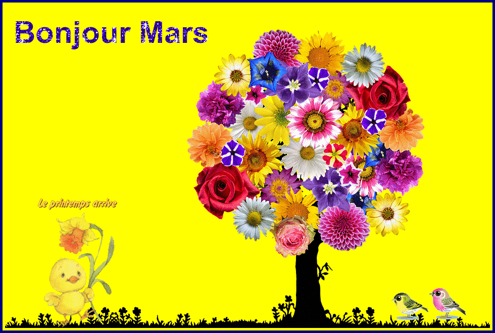 Bonjour janv,fev,mars,avril,mai et juin (mois)