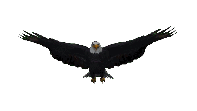 b1fc4949_1
