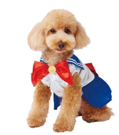 be4711a709741014c1b263cb92128173_1