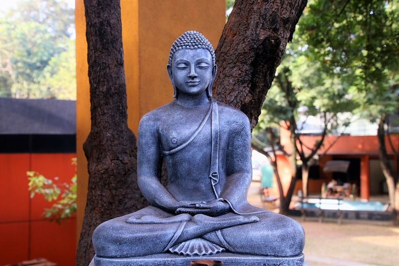 buddha-3204782_1280.jpg