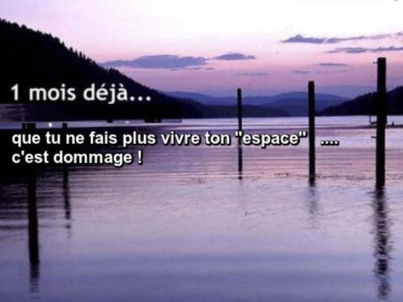 ➡️ Bienvenue dans l'espace de  Bibi (Darkpassenger)