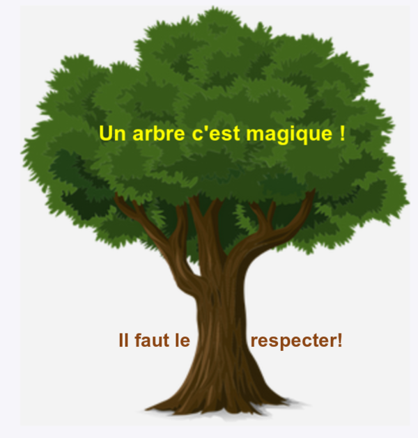 ️Il était Une Fois Des Arbres ...(Le Secret Des Arbres)