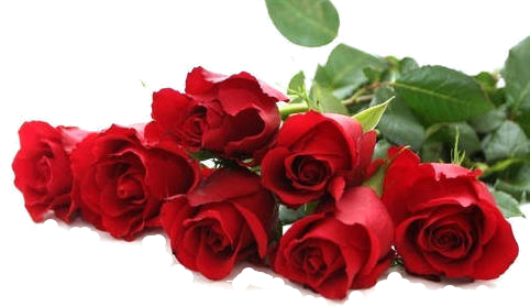  ❤️ KDO AMITIE et Bouquets (divers)