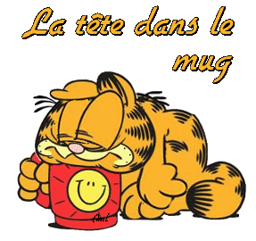 image_0980383_20210107_ob_60aa1d_la-tete-dans-le-mug-garfield