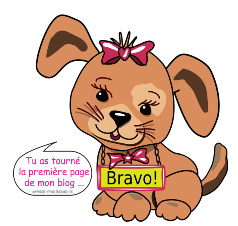 (¬ ¬) ASTUCES POUR BLOG (BRAVO )