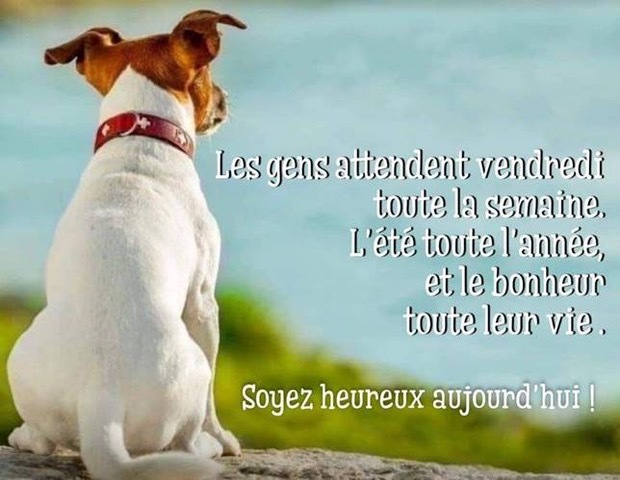 ♥♫♥☼♥ AUJOURD'HUI Soyez Heureux!