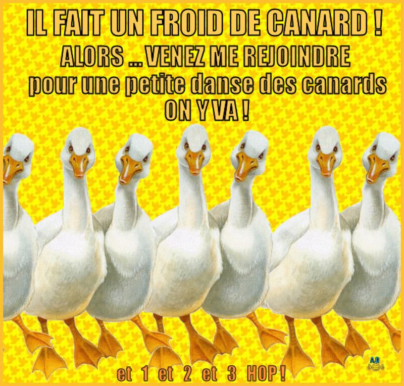 Il fait un froid de canard