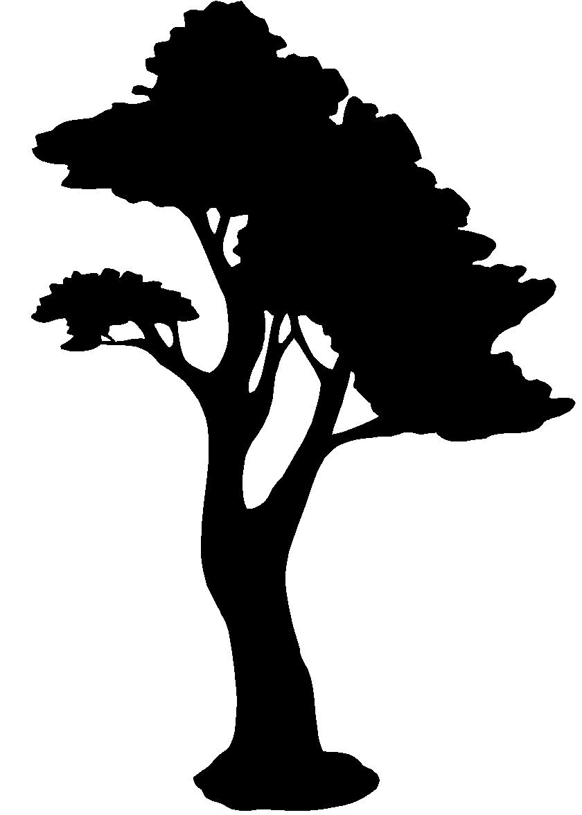 tree002
