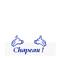 unnamedHACHAPEAUypopo_2